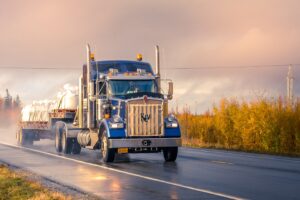 Truck driver undergoing medical certificate requirements check in Australia for 2025 compliance
